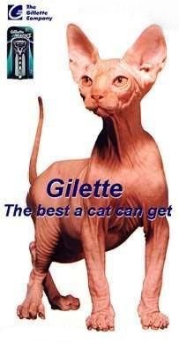 gilette_pro_kocky.jpg