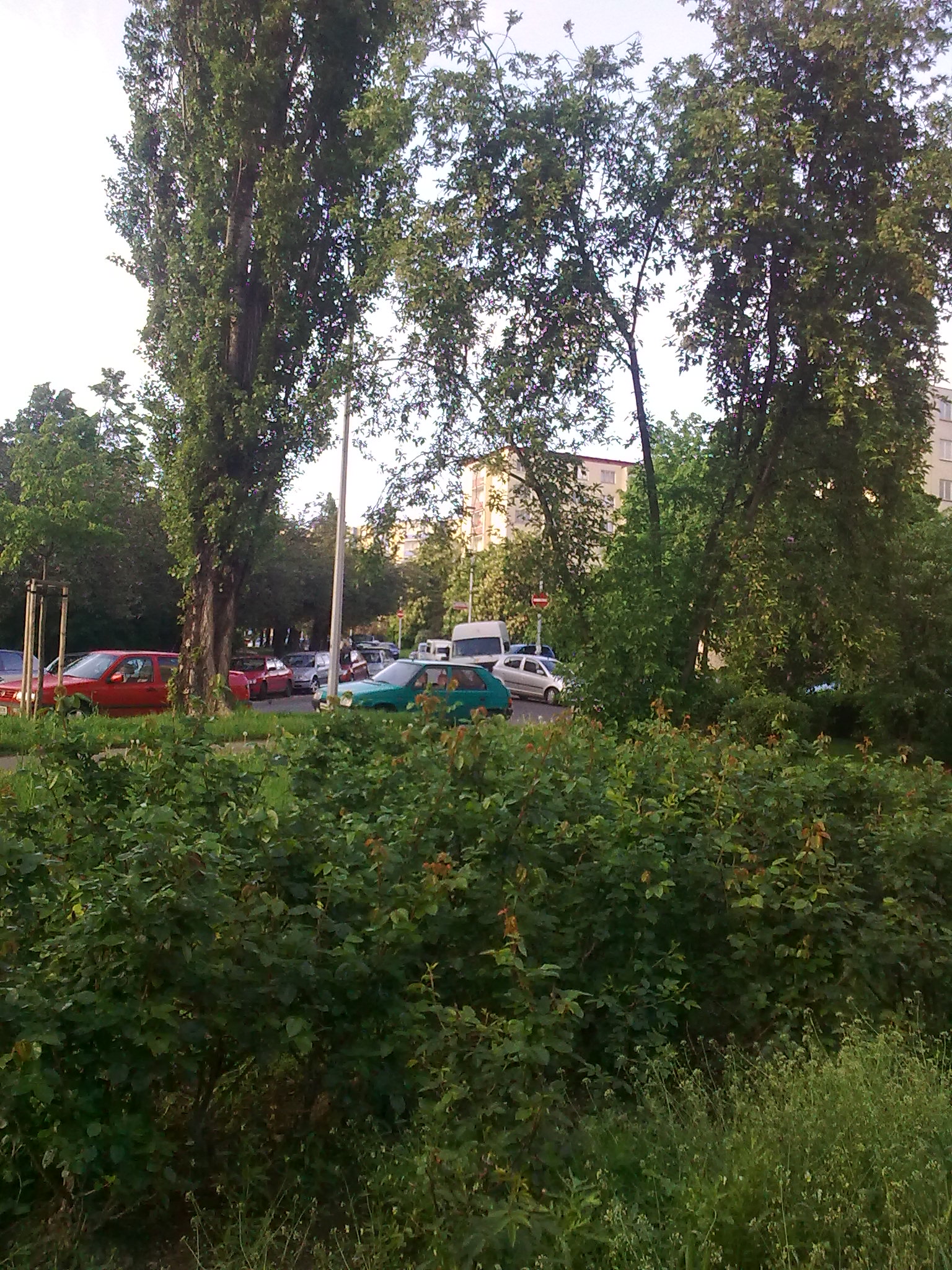 Obraz0409